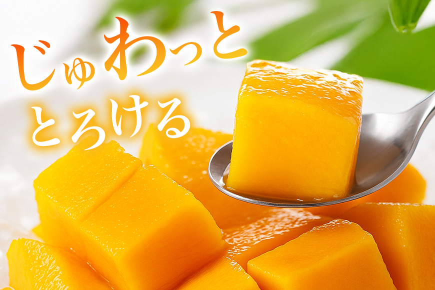 【先行予約 2026年 発送】かねよしマンゴーの甘くとろける マンゴー 2kg 家庭用 沖縄県産 アップルマンゴー アーウィンマンゴー 国産 完熟マンゴー 果物 南国 くだもの フルーツ 完熟 夏 旬 特産品 沖縄 お取り寄せ お土産 甘い 濃厚 糸満市