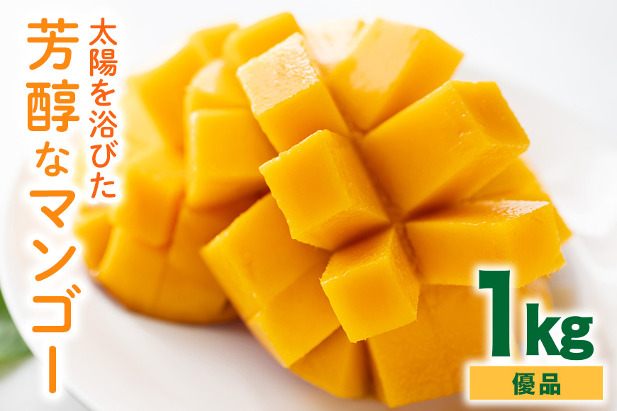 【 先行予約 2026年 発送】 沖縄の太陽を浴びた芳醇なマンゴー 1kg ( 優品 ) 沖縄県産 マンゴー アップルマンゴー アーウィンマンゴー 1キロ 国産 完熟マンゴー 果物 南国 くだもの フルーツ 完熟 夏 旬 沖縄 お取り寄せ 産地直送 農家直送 糸満市