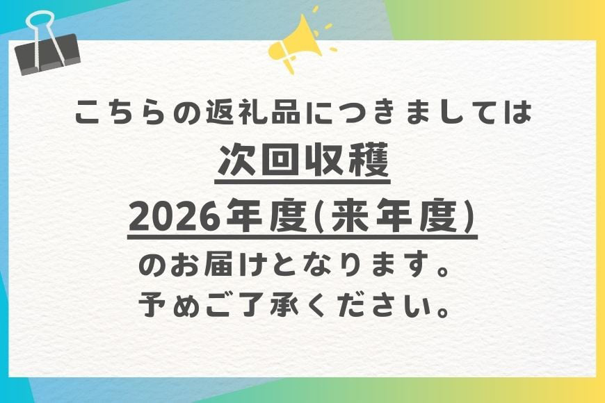 【 先行予約 2026年 発送】 沖縄の太陽を浴びた芳醇なマンゴー 1kg ( 秀品 ) 沖縄県産 マンゴー アップルマンゴー アーウィンマンゴー 1キロ 国産 完熟マンゴー 果物 南国 くだもの フルーツ 完熟 夏 旬 沖縄 お取り寄せ 産地直送 農家直送 糸満市
