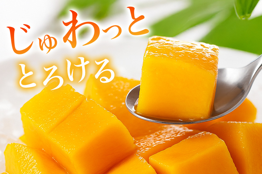 【 先行予約 2026年 発送 】 訳あり 沖縄県 糸満産 かねよし マンゴー アーウィンマンゴー 1.5kg 訳アリ 訳あり品 沖縄県産 アップルマンゴー 国産 完熟マンゴー 果物 くだもの フルーツ 完熟 夏 特産品 沖縄 産地直送 農家直送 甘い 濃厚 糸満市