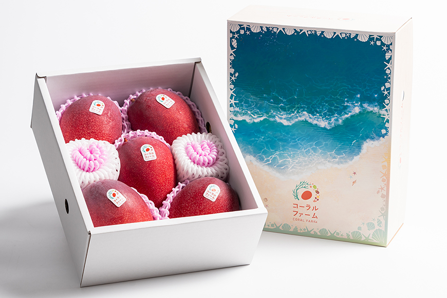 【 先行予約 2026年 発送 】コーラルファーム アップルマンゴー 2kg (4〜6玉) 秀品 沖縄県産 マンゴー アーウィンマンゴー 2キロ 国産 完熟マンゴー 果物 くだもの フルーツ 完熟 夏 沖縄 お取り寄せ ギフト 産地直送 農家直送 糸満市