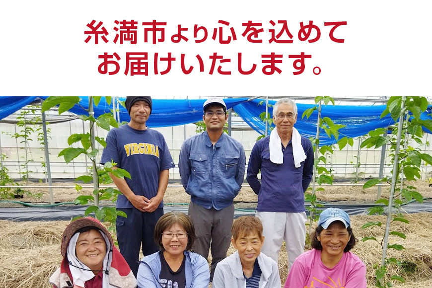 ã æééå® 2026幎 çºéã 糞æºç£ 糞ã¡ãã ããã·ã§ã³ãã«ãŒã èš³ãã 3kg æ°ééå® æ²çž å®¶åºçš èš³ã¢ãª èš³ããå çå³ é
žå³ 远ç ãã«ãŒã æç© ãããã«ã« ååœ ã¹ã€ãŒã ãã¶ãŒã βã«ããã³ ãã¿ãã³ èé
ž åœç£ æ²çžç 糞æºåž