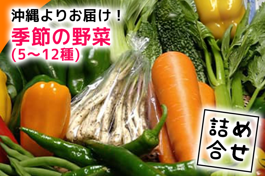 沖縄よりお届け！季節の野菜詰め合わせ（5〜12種類）