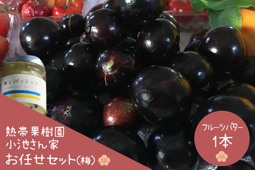 【先行予約 2026年 発送】熱帯果樹園小池さん家 お任せ セット （梅） フルーツバター 大瓶 1個入り 沖縄 旬 フルーツ 薬味 ハーブ 野菜 ナッツ お任せセット 果物 バター 詰め合わせ パッションフルーツ マンゴー ライチ 旬の果物 おまかせ