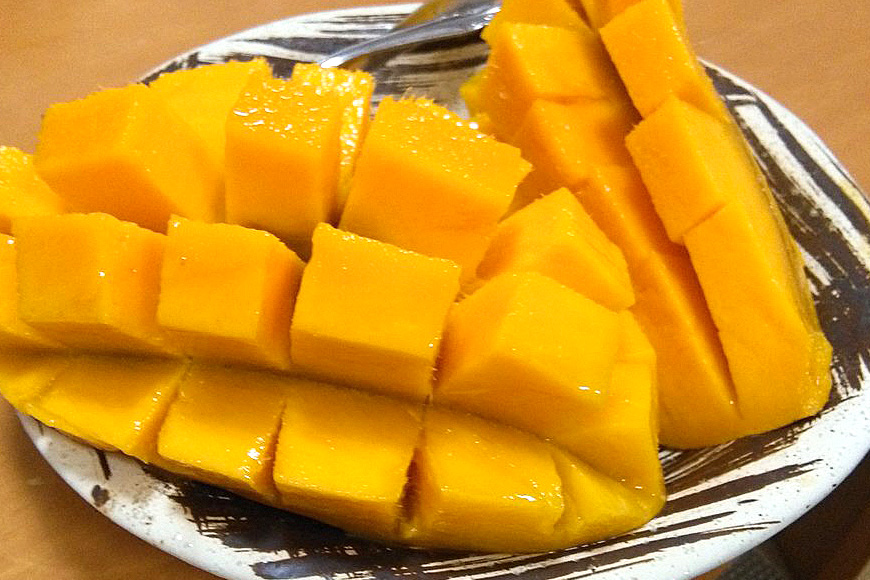 ã2026幎çºéãå°æ± ããå®¶ãäžå¯§ã«è²ãŠã ã¢ããã«ãã³ãŽãŒ 2kg æ²çžçç£ ãã³ãŽãŒ ã¢ãŒãŠã£ã³ãã³ãŽãŒ 2ãã åœç£ å®çãã³ãŽãŒ æç© ååœ ãã ãã® ãã«ãŒã å®ç å€ æ¬ æ²çž ãåãå¯ã ç£å°çŽé 蟲家çŽé çã æ¿å 糞æºåž