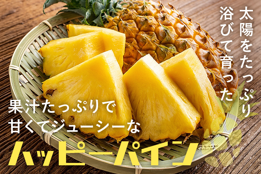 ã å
è¡äºçŽ 2026幎 çºé ã ããããŒãã€ã³1ç æ²çžçã®åéšã§ã¯è²ããªããšèšãããå¹»ã®ãã€ãããã« ãã€ãããã« ãã€ã³ ãã«ãŒã æç© çã æ²çž