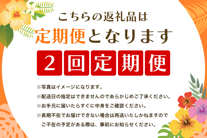 【定期便全2回】沖縄フルーツ定期便 2回 パッションフルーツ マンゴー