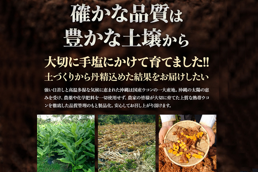 【金秀バイオ】沖縄県産 熱帯 ウコン 90粒 10袋 セット 300日分(約10ヶ月分) サプリ サプリメント 熱帯ウコン 春ウコン 紫ウコン 栽培期間中農薬・化学肥料不使用 クルクミン ビタミンC ビタミン 国産ウコン 姜黄 キョウオウ 国産 沖縄県 糸満市