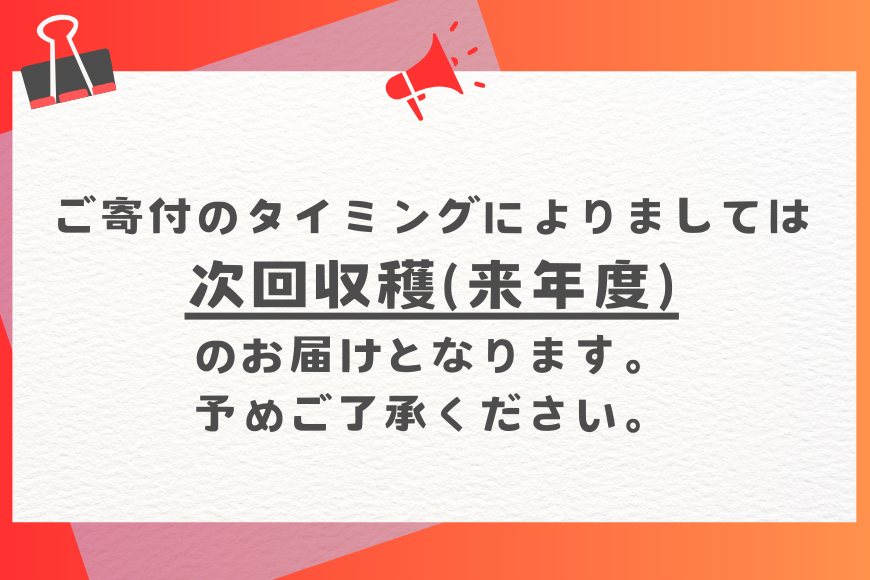 【定期便全4回】沖縄 フルーツ 定期便 4回 パッションフルーツ マンゴー ドラゴンフルーツ フルーツ定期便 沖縄バナナ バナナ 旬 フルーツ 果物 くだもの 完熟マンゴー 沖縄マンゴー 定期便 季節の果物 産地直送 沖縄県 糸満市