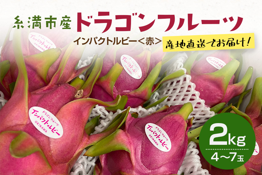 【2026年発送】糸満市産 「ドラゴンフルーツ インパクトルビー 赤」2kg (4〜7玉) 国産 産地直送 果実 果物 くだもの フルーツ 贈り物 贈答品 お取り寄せ トロピカルフルーツ 旬 あっさり 厳選 常温 ピタヤ 火龍果 南国 沖縄産 沖縄県 糸満市