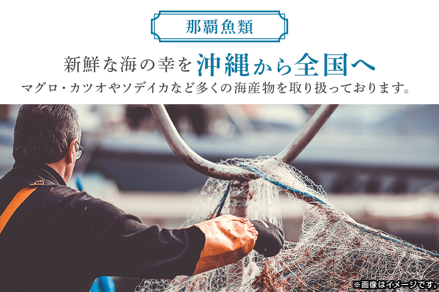 ãœãã€ã« ã¹ã©ã€ã¹ 560g ( 140g à 4P ) ãã åºèº« ã€ã« æ¥é å·å ç空ãã㯠å°åã ã«ããæžã¿ ã€ã«åºã èš³ãã èš³ã¢ãª ç°¡æå
è£
ããåºèº« ãåŸ³çš çŽé æµ·ç£ç© æ²çž ã°ã«ã¡ æµ·ç£ç© ç£å°çŽé å·åä¿å å幎 é·æä¿å æ²çžç 糞æºåž é£èŠéé¡
