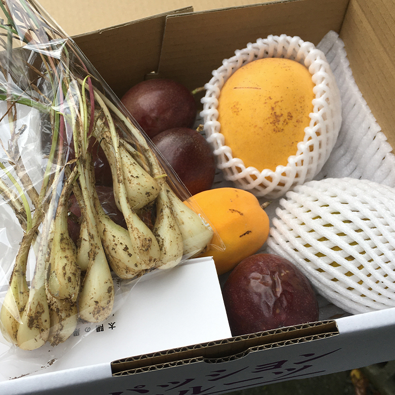 ãå
è¡äºçŽ 2026幎 çºéãç±åž¯ææš¹åå°æ± ããå®¶ ãä»»ã ã»ãã ïŒç«¹ïŒ ãã«ãŒããã¿ãŒ å€§ç¶ 3åå
¥ã æ²çž æ¬ ãã«ãŒã è¬å³ ããŒã éè ããã ãä»»ãã»ãã æç© ãã¿ãŒ è©°ãåãã ããã·ã§ã³ãã«ãŒã ãã³ãŽãŒ ã©ã€ã æ¬ã®æç© ããŸãã