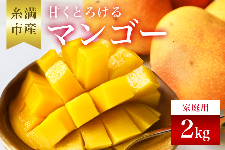 【 先行予約 2026年 発送 】 訳あり 沖縄県 糸満産 かねよし マンゴー アーウィンマンゴー 2kg 訳アリ 訳あり品 沖縄県産 アップルマンゴー 国産 完熟マンゴー 果物 くだもの フルーツ 完熟 夏 特産品 沖縄 産地直送 農家直送 甘い 濃厚 糸満市
