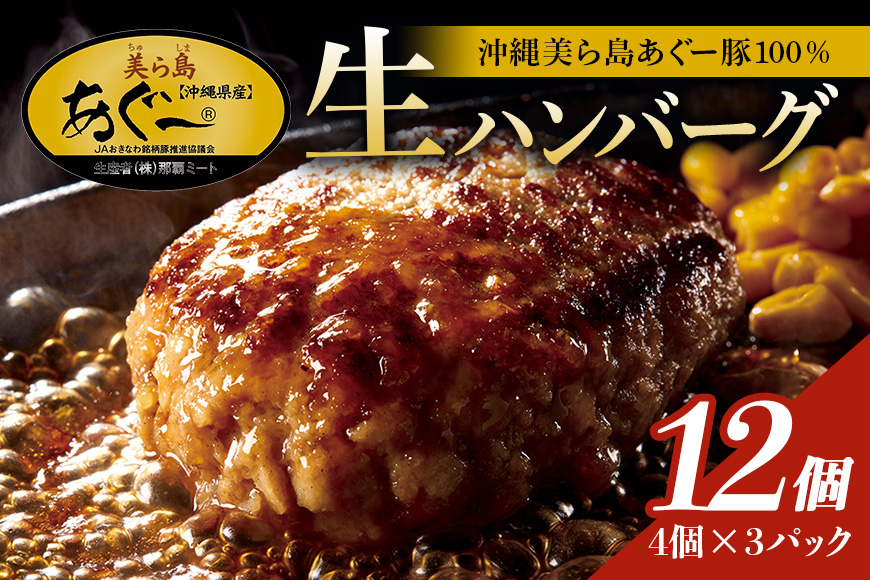 美ら島あぐー ハンバーグ 12個 セット 沖縄県 おかず 惣菜 アグー豚 使用 冷凍 4個×3パック 小分け おいしい 肉 糸満市 国産 肉汁 たっぷり ブランド豚 ジューシー 肉厚 お中元 ギフト プレゼント グルメ おつまみ ディナー オードブル 沖縄県 糸満市