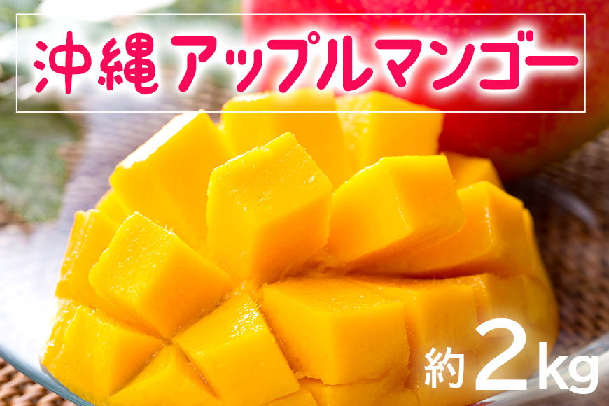 【 先行予約 2025年 発送 】 お手頃 「沖縄 アップルマンゴー 」 2kg 沖縄県産 マンゴー アーウィンマンゴー 2キロ 国産 完熟マンゴー 果物 南国 くだもの フルーツ 完熟 夏 旬 お取り寄せ 産地直送 農家直送 甘い 濃厚 糸満市