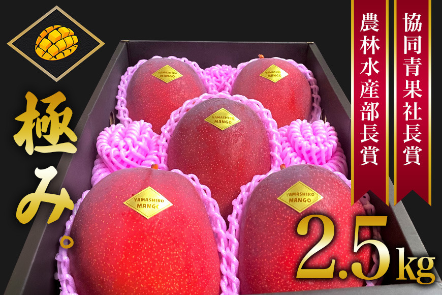 【 先行予約 2026年 発送 】 沖縄県産 マンゴー 『極み。』2.5kg 山城マンゴー屋 アップルマンゴー アーウィンマンゴー 国産 完熟マンゴー 果物 南国 くだもの フルーツ 完熟 夏 旬 沖縄 お取り寄せ 産地直送 農家直送 甘い 濃厚 糸満市