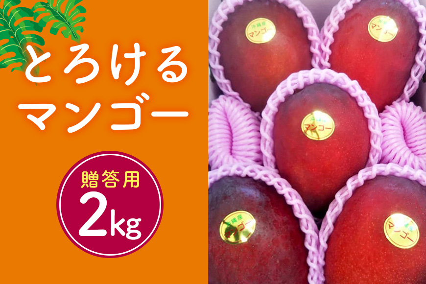 【2025年発送】かねよしマンゴーの甘くとろけるマンゴー2kg（贈答用）