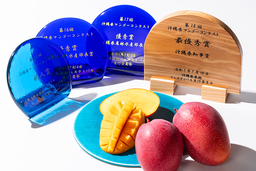 【 先行予約 2026年 発送 】コーラルファーム アップルマンゴー 2kg (4〜6玉) 秀品 沖縄県産 マンゴー アーウィンマンゴー 2キロ 国産 完熟マンゴー 果物 くだもの フルーツ 完熟 夏 沖縄 お取り寄せ ギフト 産地直送 農家直送 糸満市