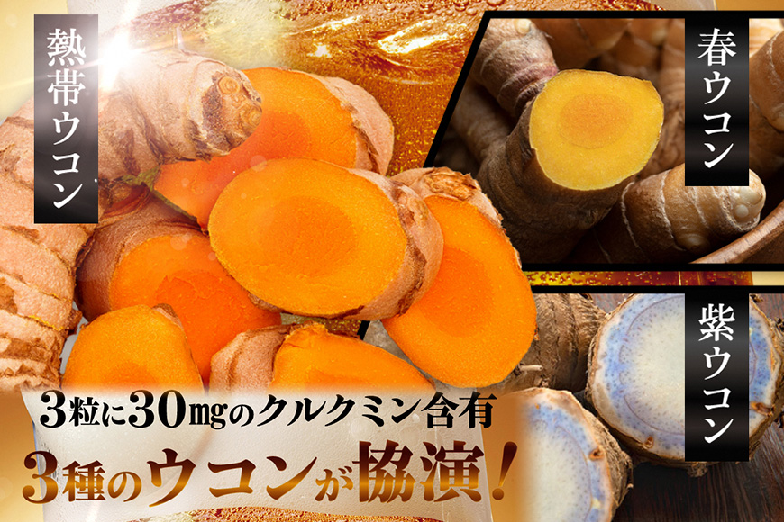 【金秀バイオ】沖縄県産熱帯ウコン90粒　3袋セット　90日分（約3ヶ月分）