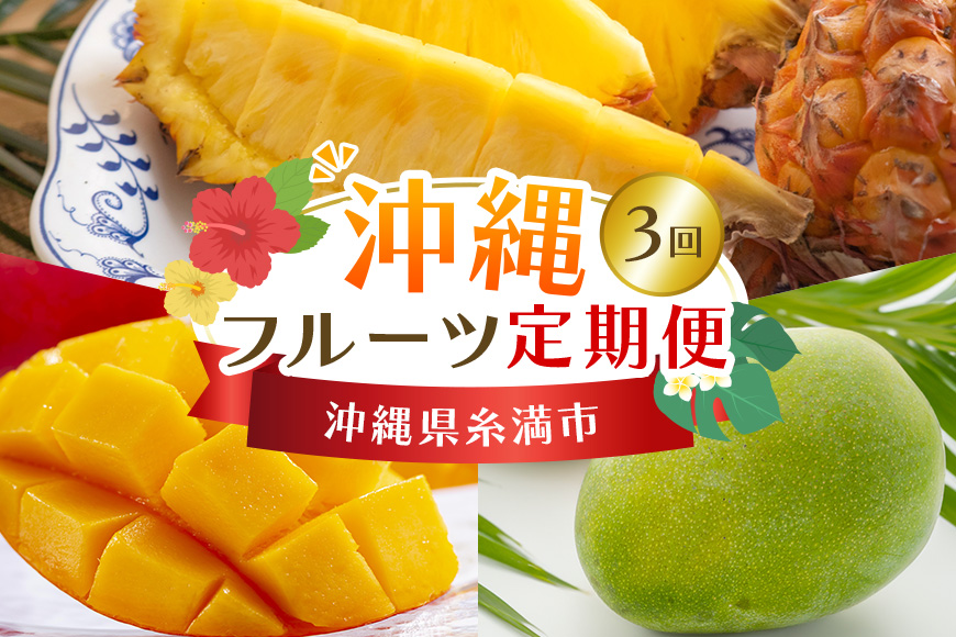 【定期便全3回】沖縄 フルーツ 定期便 3回 沖縄産パイナップル パイン マンゴー キーツマンゴー フルーツ定期便 果物 パイナップル 沖縄マンゴー 沖縄 夏 旬 フルーツ くだもの 定期便 3ヶ月 3か月 3カ月 沖縄県 糸満市 【 先行予約 2026年 発送 】