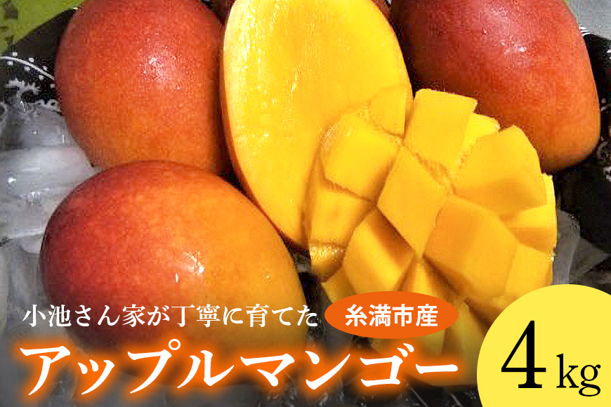 【2026年発送】 小池さん家が丁寧に育てた アップルマンゴー 4kg 沖縄県産 マンゴー アーウィンマンゴー 4キロ 国産 完熟マンゴー 果物 南国 くだもの フルーツ 完熟 夏 旬 沖縄 お取り寄せ 産地直送 農家直送 甘い 濃厚 糸満市