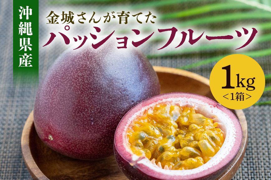 【2026年発送】金城さんが育てた　沖縄県産パッションフルーツ　1kg