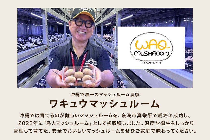 島人マッシュルームセット（ジャンボ×1・ホワイト・ブラウン各100gセット）   