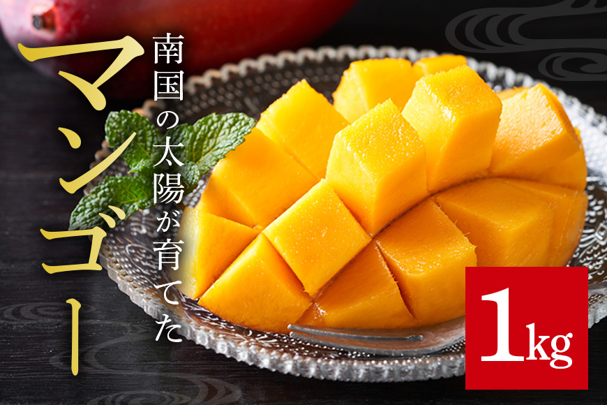【先行予約 2026年発送】家庭用マンゴー 1kg 沖縄県産 マンゴー 家庭用 1キロ 国産 完熟マンゴー 果物 南国 くだもの フルーツ 完熟 夏 旬 特産品 沖縄 お取り寄せ 産地直送 農家直送 甘い 濃厚 糸満市