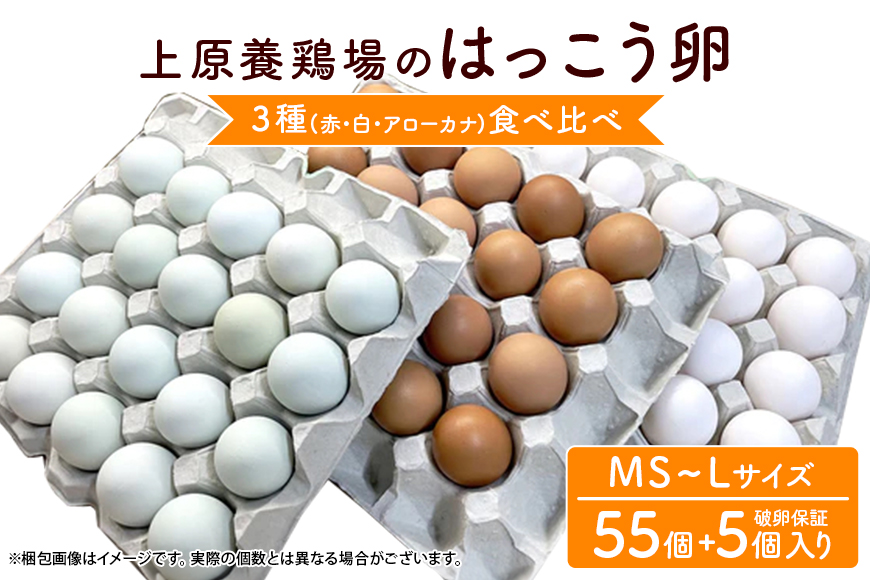 はっこう卵 3種 食べ比べ MS~L サイズ 55個 +破卵保障5個 卵 種類 サイズ おまかせ 詰め合わせ 白卵 30個 赤卵 20個 青卵 10個 アローカナ 詰合せ たまご タマゴ 食比べ 生卵 味卵 煮卵 目玉焼き ゆで卵 沖縄 産地直送 上原養鶏場 沖縄県 糸満市