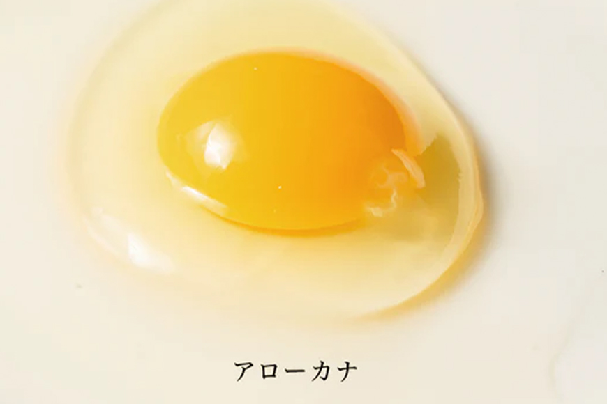 ã¯ã£ããåµ 3çš® é£ã¹æ¯ã¹ MS~L ãµã€ãº 55å +ç Žåµä¿é5å åµ çš®é¡ ãµã€ãº ããŸãã è©°ãåãã çœåµ 30å èµ€åµ 20å éåµ 10å ã¢ããŒã«ã è©°åã ããŸã ã¿ããŽ é£æ¯ã¹ çåµ å³åµ ç
®åµ ç®ççŒã ãã§åµ æ²çž ç£å°çŽé äžåé€é¶å Ž æ²çžç 糞æºåž