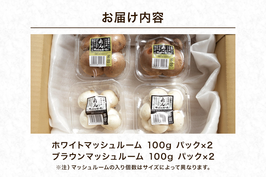 島人マッシュルームセット（ホワイト・ブラウン100g×２セット）
