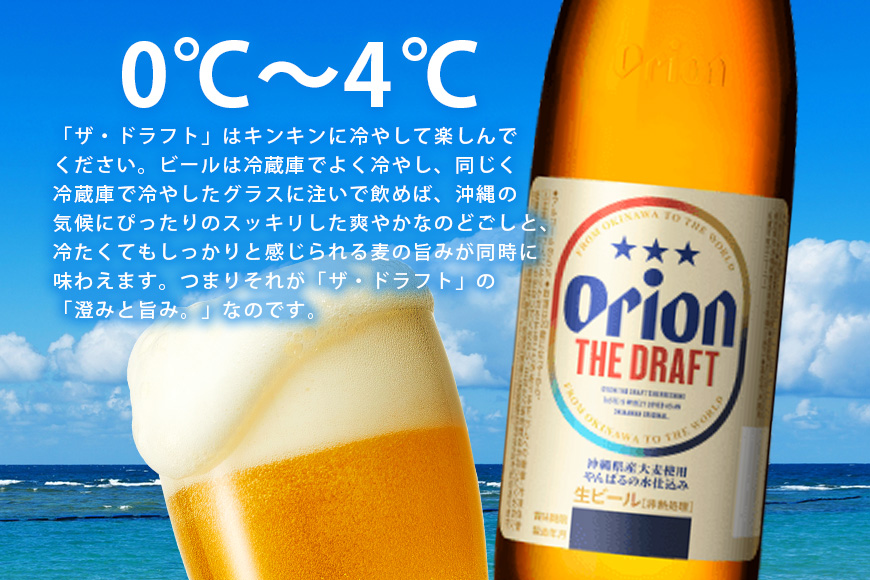 ザ・ドラフト大びん 6本入り 化粧箱 633ml×6本 オリオンビール ビール 沖縄県 糸満市 36-43