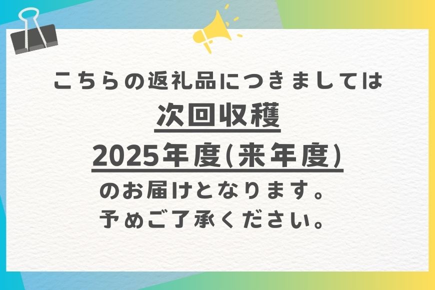 【定期便全2回】アップルマンゴーとパイナップル(Nパイン)の定期便 26-7