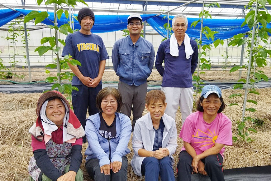 【 期間限定 2026年 発送 】 糸満産 糸ちゃん パッションフルーツ ＜ 家庭用 ／ 1kg ＞ 果物 フルーツ くだもの 1キロ 数量限定 沖縄 果実 南国フルーツ 沖縄県産 美味しい 甘い あまい 甘み 酸味 爽やか 産地直送 農家直送 産直 沖縄県 糸満市