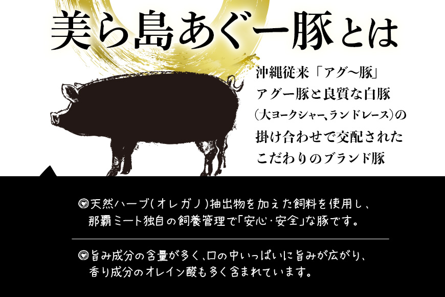 美ら島あぐー ハンバーグ 20個 セット 沖縄県 おかず 惣菜 アグー豚 使用 冷凍 4個×5パック 小分け おいしい 肉 糸満市 国産 肉汁 たっぷり ブランド豚 ジューシー 肉厚 お中元 ギフト プレゼント グルメ おつまみ ディナー オードブル 沖縄県 糸満市