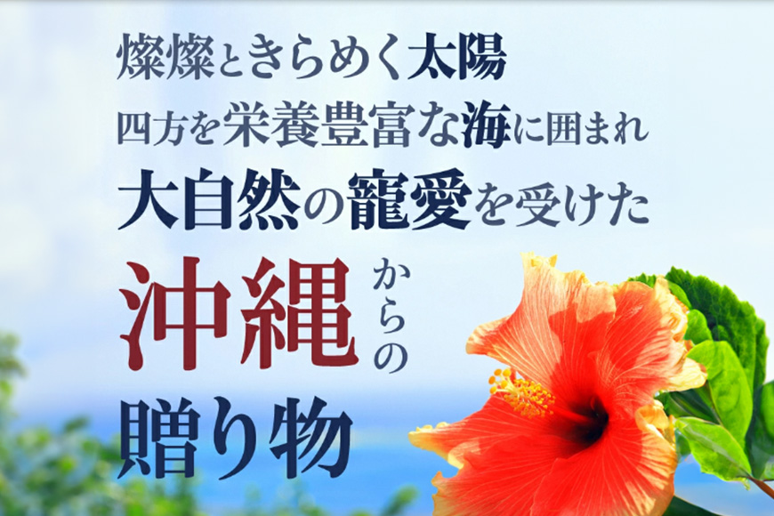 【金秀バイオ】琉球フコイダンプラス90粒 10袋セット　300日分（約10ヶ月分）