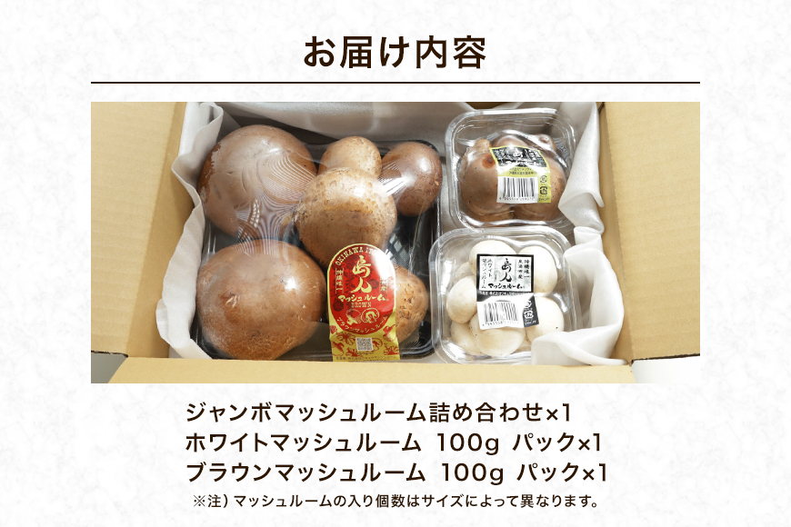 島人マッシュルームセット（ジャンボ×1・ホワイト・ブラウン各100gセット）   