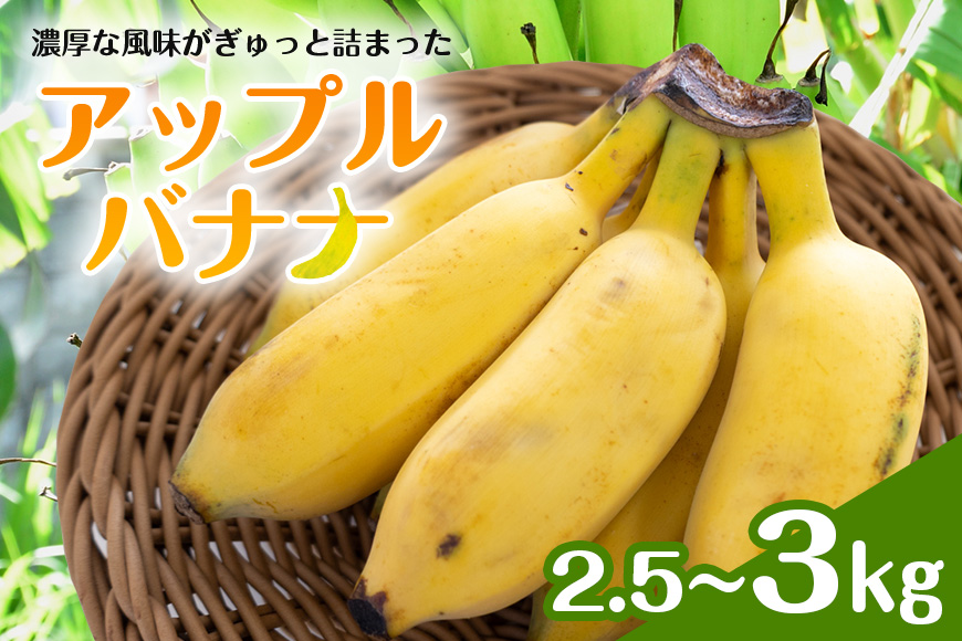 アップルバナナ2.5～3kg 194-6