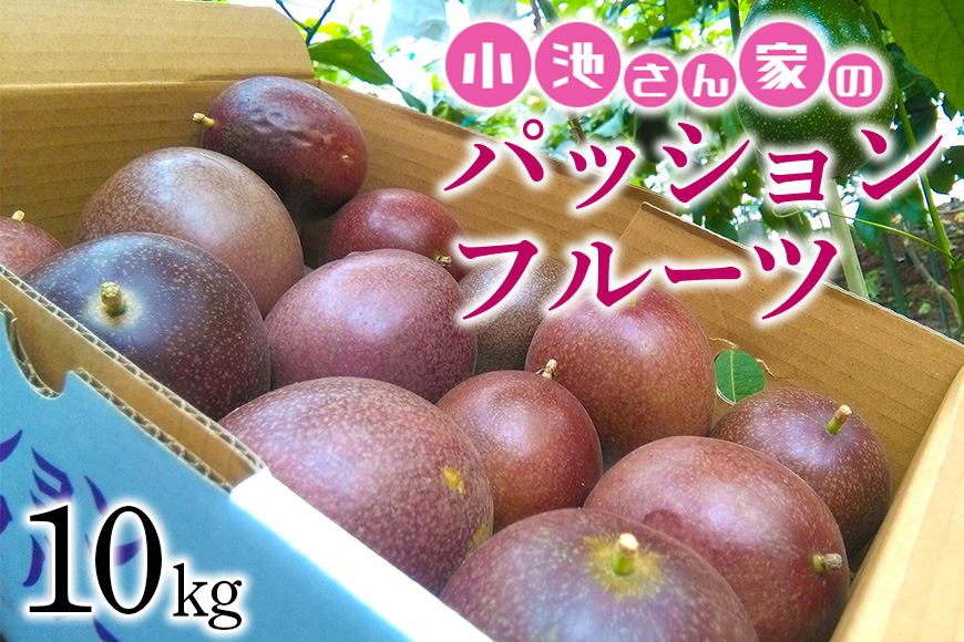 【先行予約 2026年発送】小池さん家の パッションフルーツ 約 10kg 果物 フルーツ くだもの 10キロ 沖縄 果実 南国フルーツ 沖縄県産 美味しい 甘い あまい 酸味 産地直送 農家直送 産直 大容量 沖縄県 糸満市