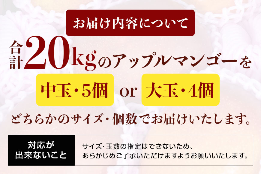 【2025年発送】沖縄県糸満産の「濃厚アップルマンゴー」20kg！(2kg×10箱）生産者：ゆいぐくるマンゴー