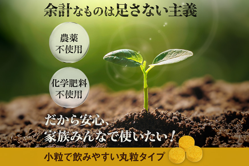 【金秀バイオ】沖縄県産 熱帯 ウコン 90粒 10袋 セット 300日分(約10ヶ月分) サプリ サプリメント 熱帯ウコン 春ウコン 紫ウコン 栽培期間中農薬・化学肥料不使用 クルクミン ビタミンC ビタミン 国産ウコン 姜黄 キョウオウ 国産 沖縄県 糸満市