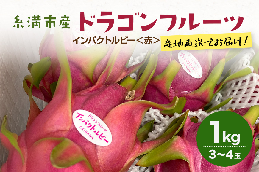 【2026年発送】糸満市産 「ドラゴンフルーツ インパクトルビー 赤」1kg (3〜4玉) 国産 産地直送 果実 果物 くだもの フルーツ 贈り物 贈答品 お取り寄せ トロピカルフルーツ 旬 あっさり 厳選 常温 ピタヤ 火龍果 南国 沖縄産 沖縄県 糸満市