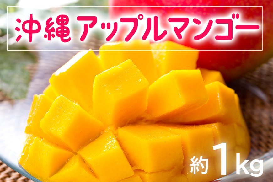 【 先行予約 2025年 発送 】 お手頃 「沖縄 アップルマンゴー 」 1kg 沖縄県産 マンゴー アーウィンマンゴー 1キロ 国産 完熟マンゴー 果物 南国 くだもの フルーツ 完熟 夏 旬 お取り寄せ 産地直送 農家直送 甘い 濃厚 糸満市