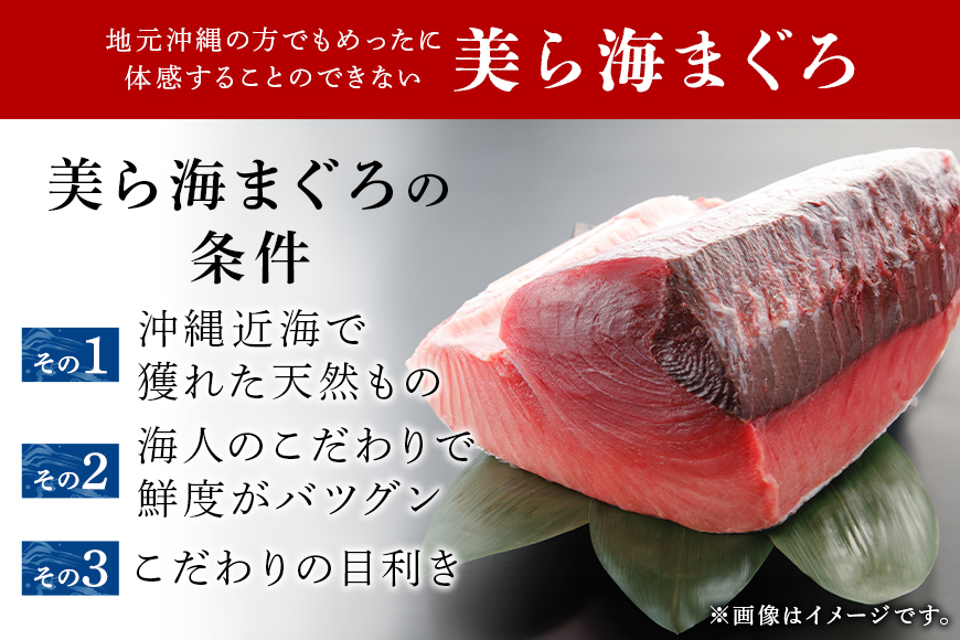 沖縄県産 本まぐろネギトロ 1kg 200g×5パック 大容量 小分け お徳用 海鮮 冷凍 たたき 鮪 生食用 沖縄 糸満市 三高水産 まぐろたたき セット ネギトロ 国産マグロ マグロ ねぎとろ 天然 国産 個包装 手巻き寿司 ねぎとろ丼 海鮮丼 業務用 まぐろ