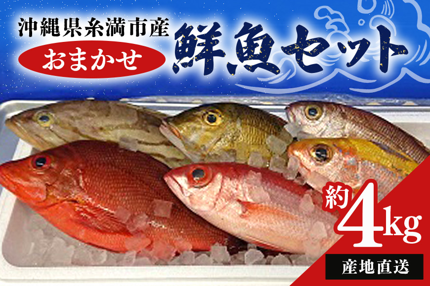 【産地直送】【漁師まちの鮮魚店厳選】おまかせ鮮魚セット（約4kg）