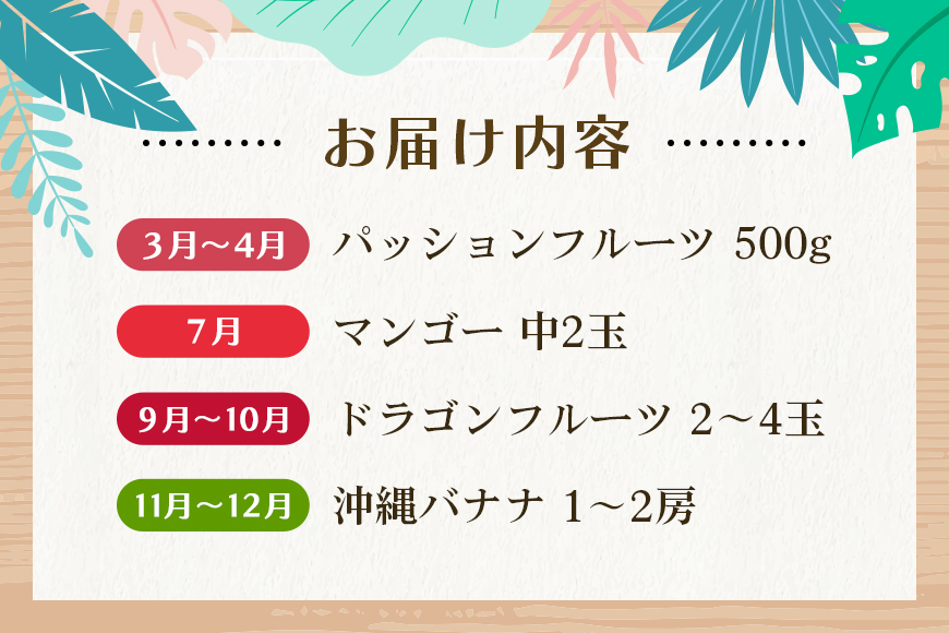 【定期便全4回】沖縄フルーツ定期便 4回 パッションフルーツ マンゴー ドラゴンフルーツ 沖縄バナナ