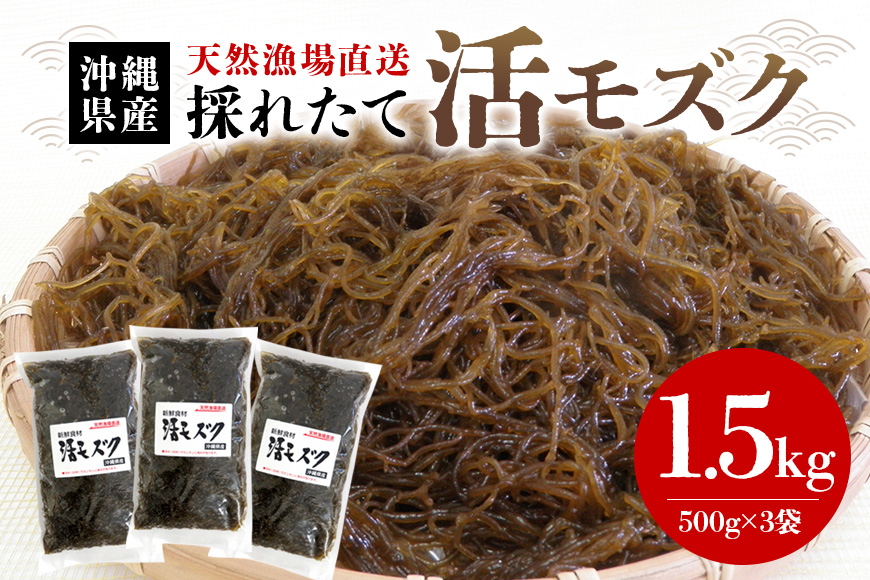 【期間限定】今が旬！天然漁場直送の新鮮食材　採れたて活モズク1.5kg（500g×3）沖縄県産