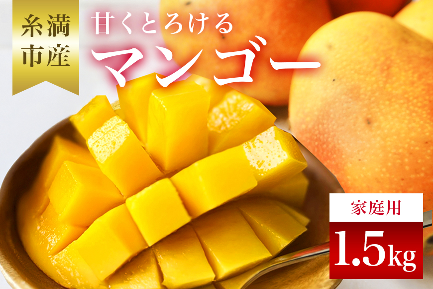 【 先行予約 2026年 発送 】 訳あり 沖縄県 糸満産 かねよし マンゴー アーウィンマンゴー 1.5kg 訳アリ 訳あり品 沖縄県産 アップルマンゴー 国産 完熟マンゴー 果物 くだもの フルーツ 完熟 夏 特産品 沖縄 産地直送 農家直送 甘い 濃厚 糸満市