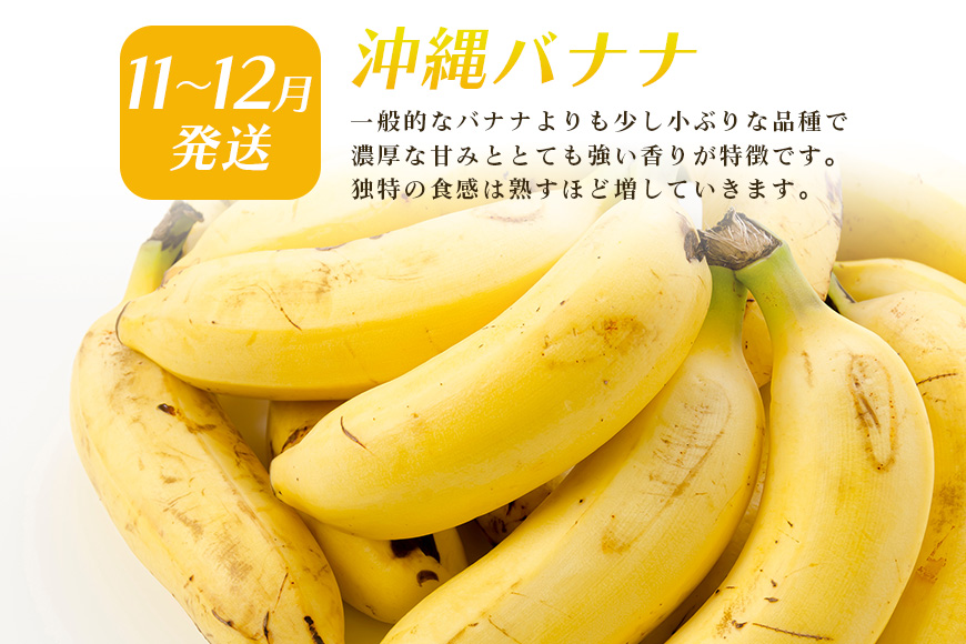 ãå®æäŸ¿å
š6åãæ²çž ãã«ãŒã å®æäŸ¿ 6å ããã·ã§ã³ãã«ãŒã æ²çžç£ãã€ãããã« ãã€ã³ ãã³ãŽãŒ ããŒããã³ãŽãŒ ãã©ãŽã³ãã«ãŒã ããã ãã«ãŒãå®æäŸ¿ æ¬ ãã«ãŒã æç© ãã ãã® æ²çžãã³ãŽãŒ å®æäŸ¿ å£ç¯ã®æç© ç£å°çŽé æ²çžç 糞æºåž