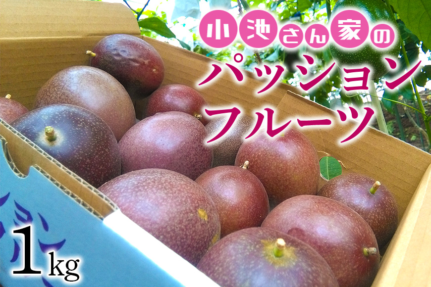 【先行予約 2026年発送】小池さん家の パッションフルーツ 約 1kg ( 10玉 以上 ） 果物 フルーツ くだもの 1キロ 沖縄 果実 南国フルーツ 沖縄県産 美味しい 甘い あまい 甘み 酸味 爽やか 産地直送 農家直送 産直 家庭用 沖縄県 糸満市